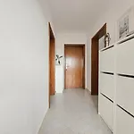 Marinela